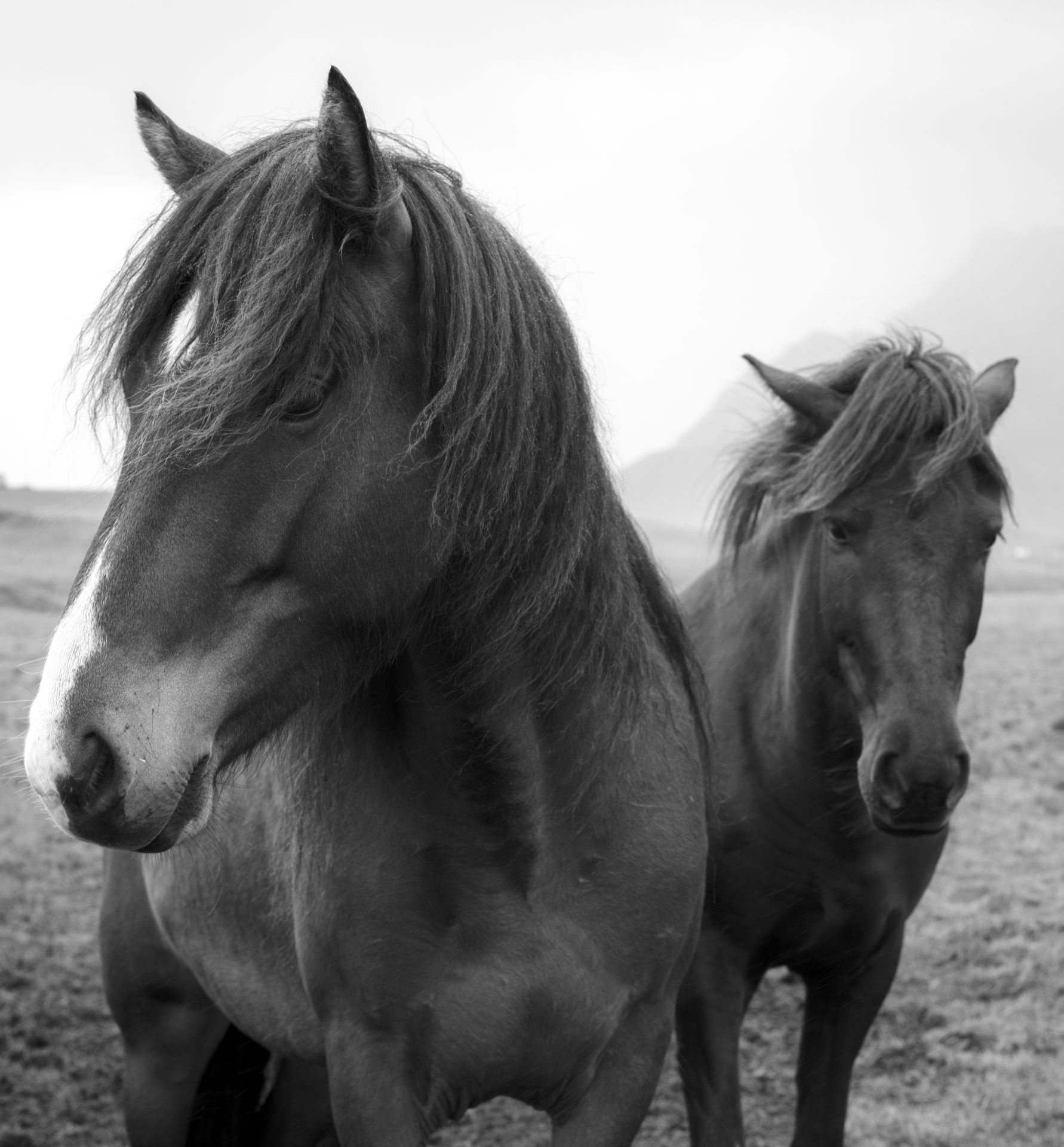 Exposición fotográfica «El arte de ver»
